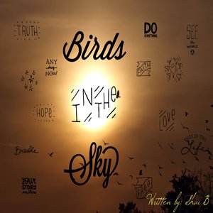 cover image of Birds in the Sky